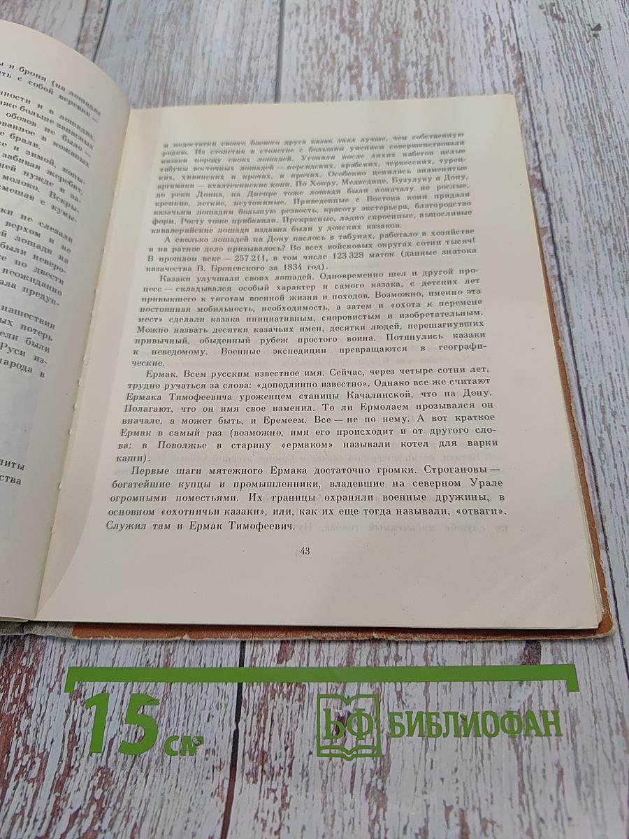 На коне-через века