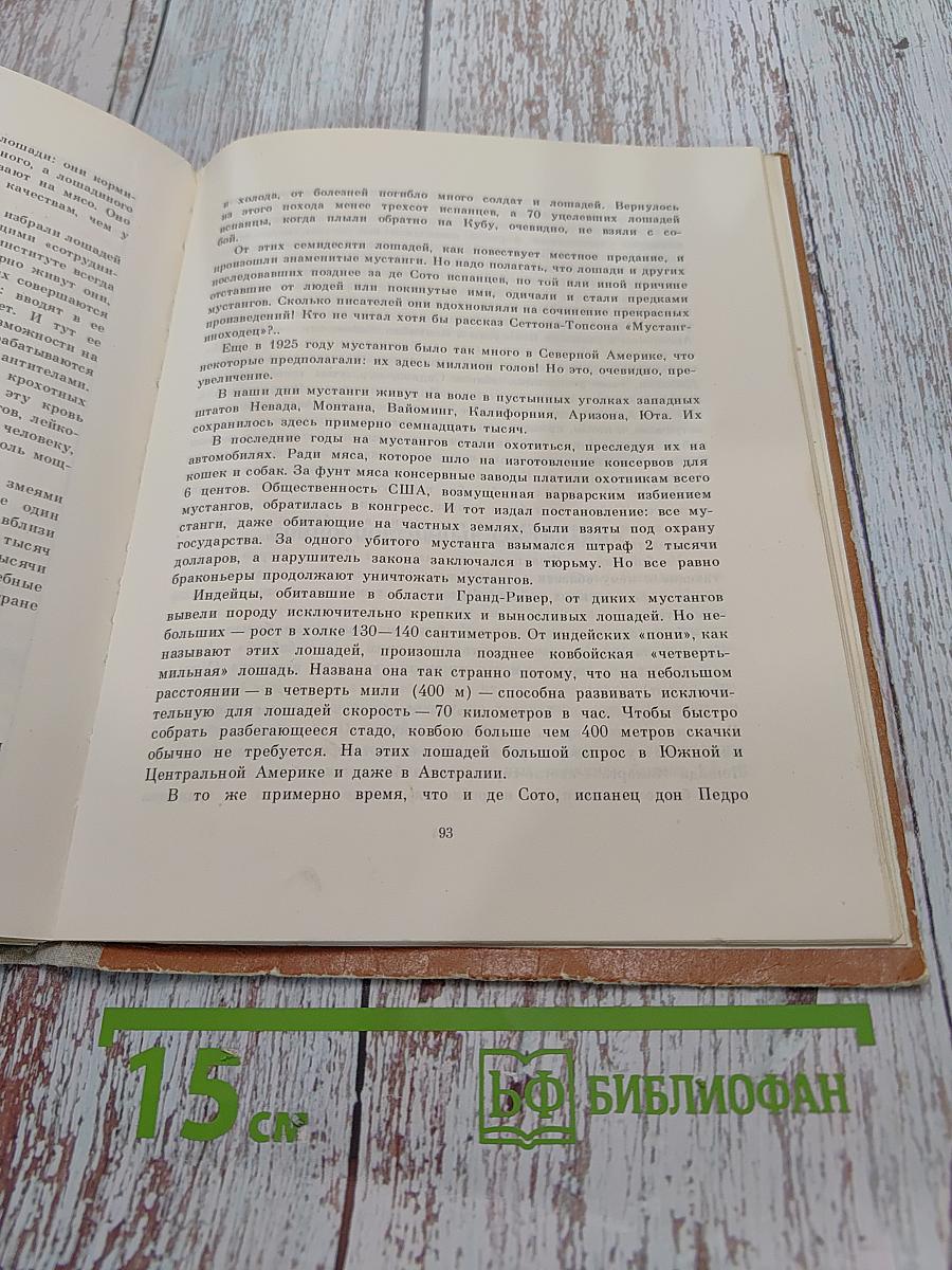На коне-через века
