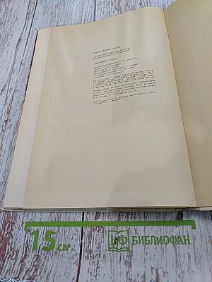 Лыжный спорт