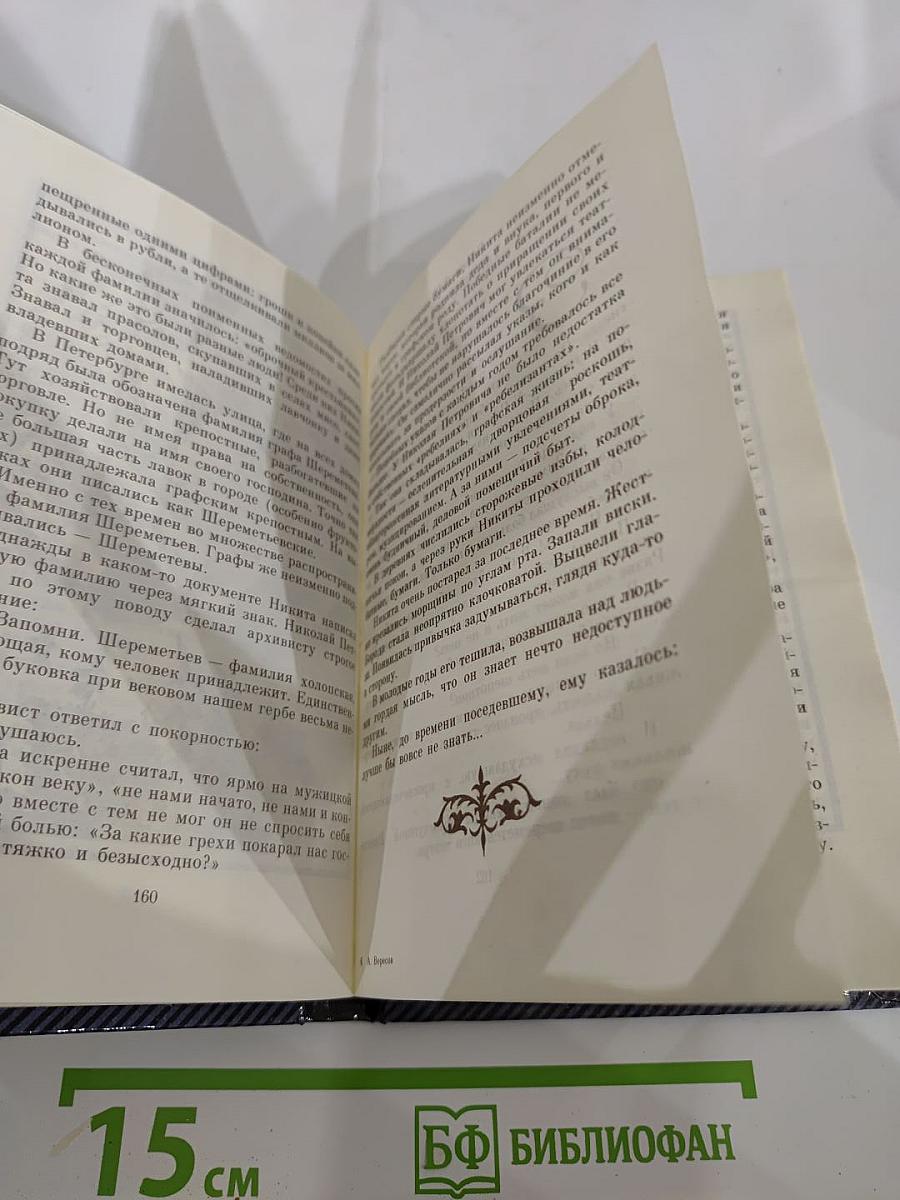 Фонтанный дом