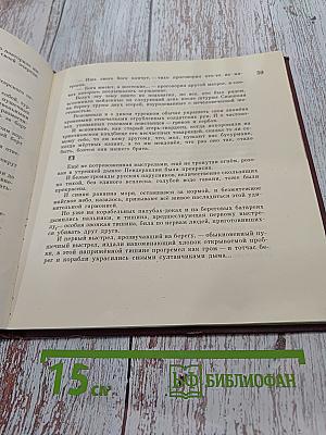 Бриг «Меркурий»