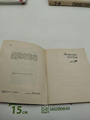 День летящий