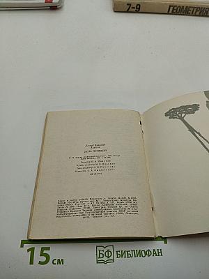 День летящий