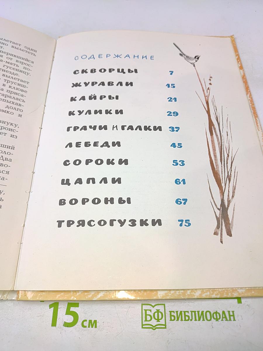 Звуки земли