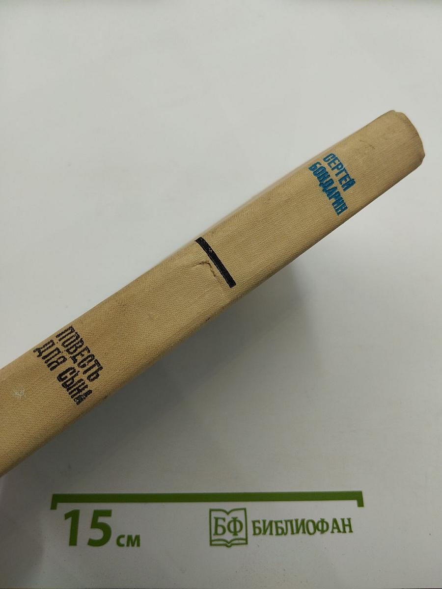 Повесть для сына