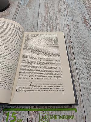 Вечная радость. Очерки жизни и школы