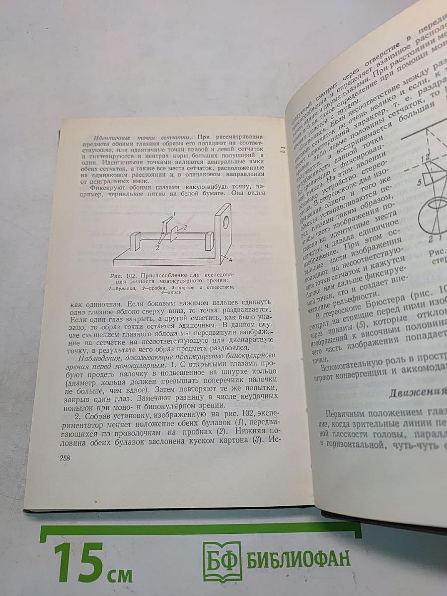 Методики нейродинамических исследований и практикум по физиологии анализаторов человека