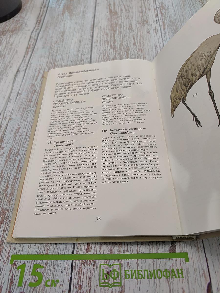Школьный атлас-определитель птиц