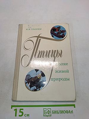 Птицы в уголке живой природы
