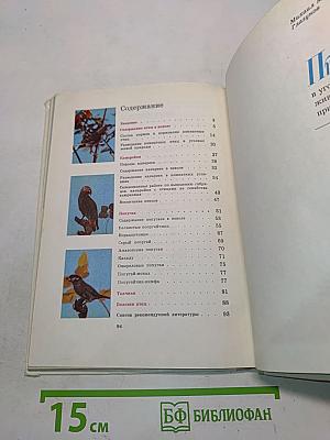 Птицы в уголке живой природы