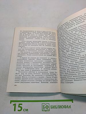Впередсмотрящий