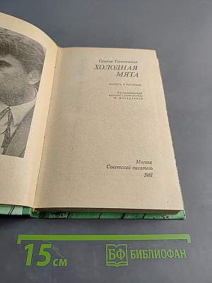 Холодная мята