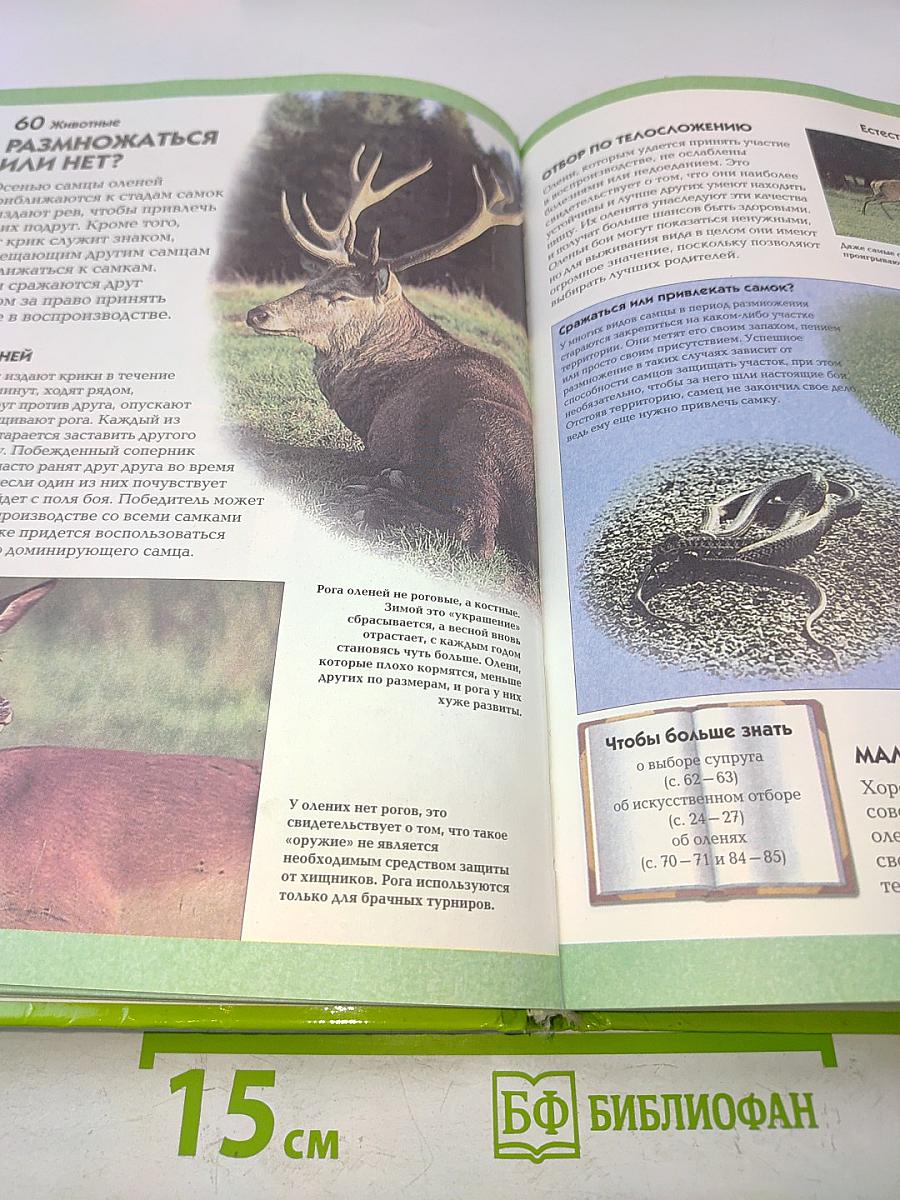 Животные. Полная история эволюции