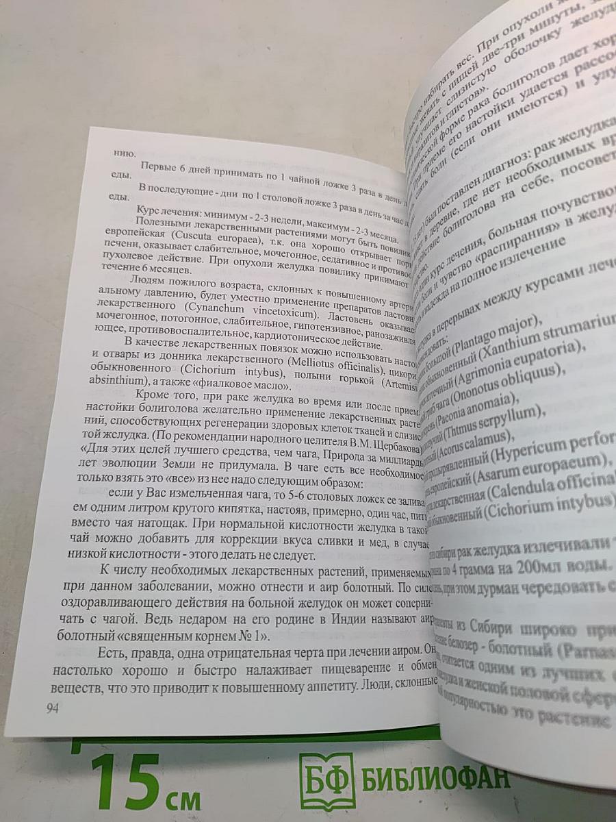 Болиголов целитель онкологических и других заболеваний