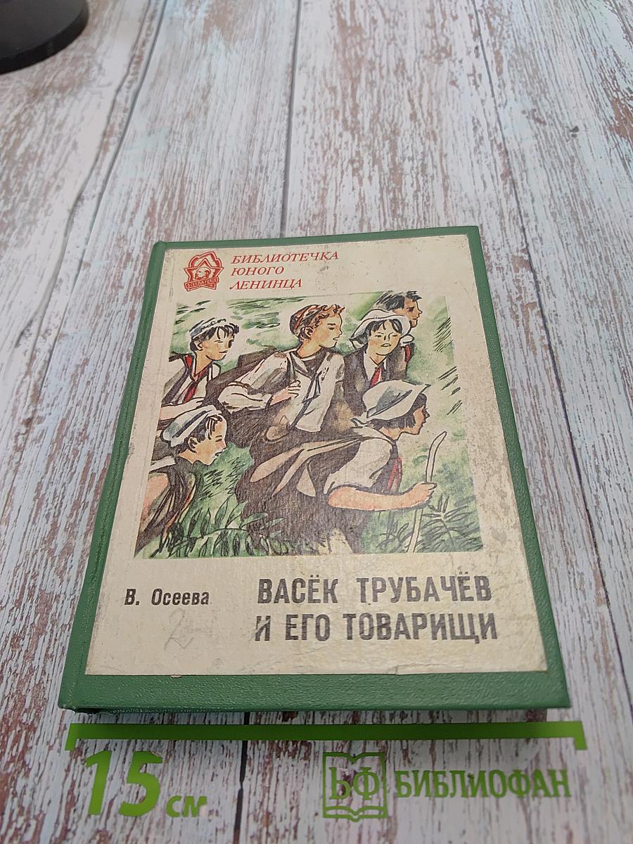 Васёк Трубачёв и его товарищи. Повесть. Книга 2