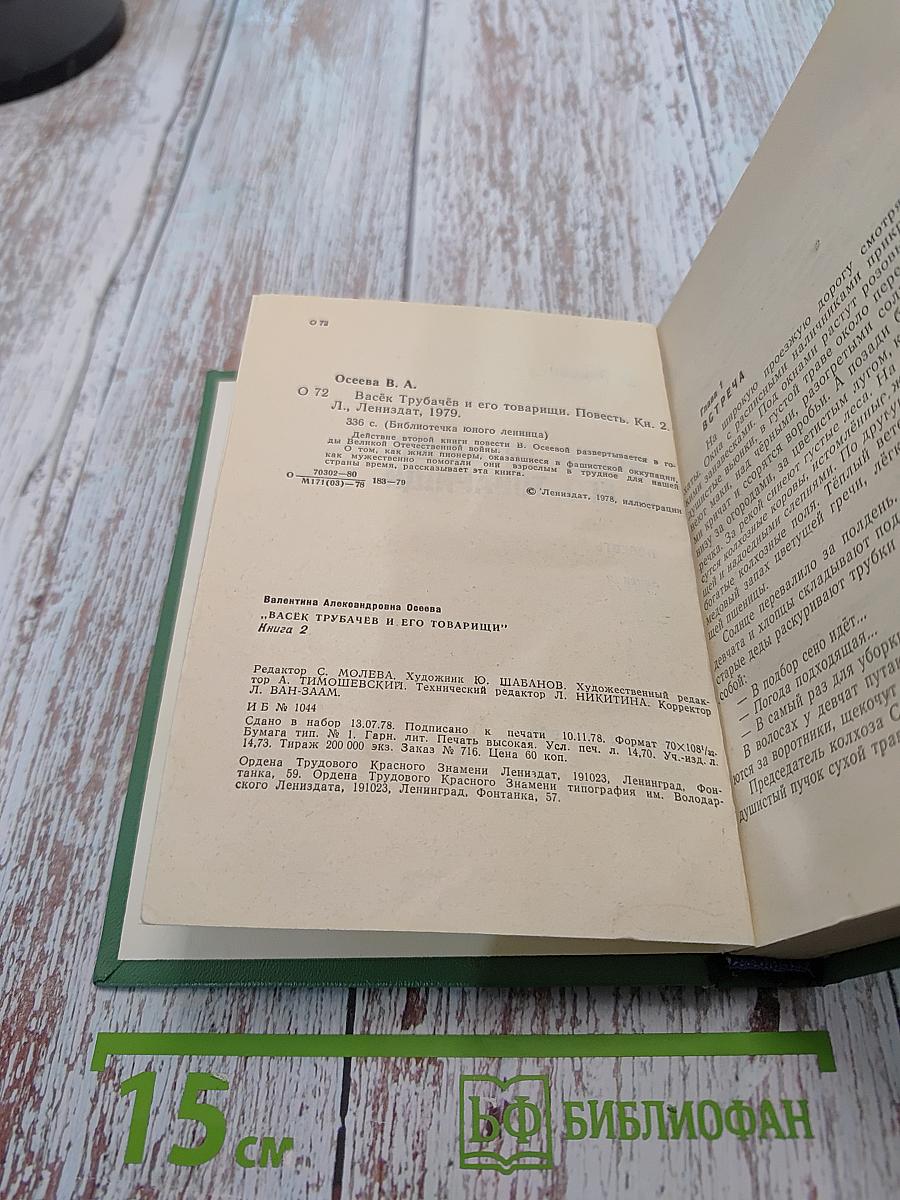 Васёк Трубачёв и его товарищи. Повесть. Книга 2