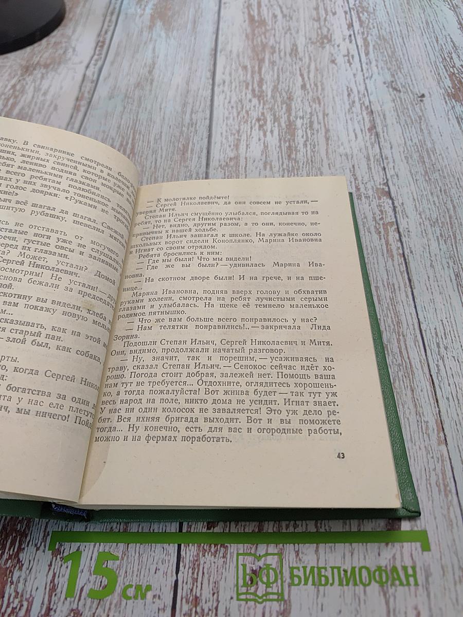 Васёк Трубачёв и его товарищи. Повесть. Книга 2