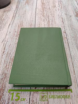 Васёк Трубачёв и его товарищи. Повесть. Книга 2