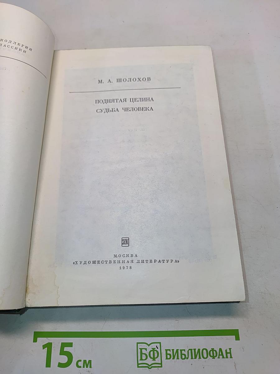 Поднятая целина. Судьба человека