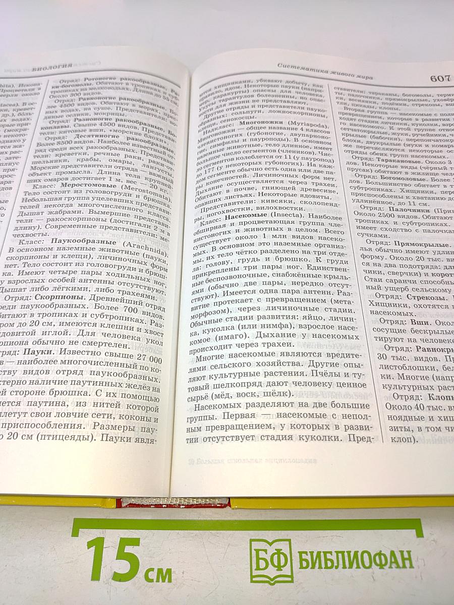 Большая школьная энциклопедия