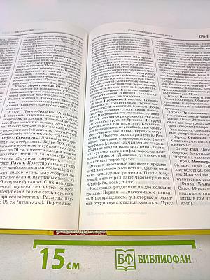 Большая школьная энциклопедия