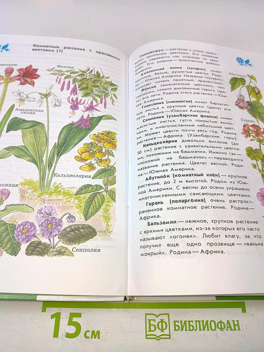 Атлас-определитель от Земли до Неба