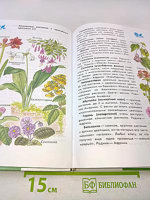 Атлас-определитель от Земли до Неба