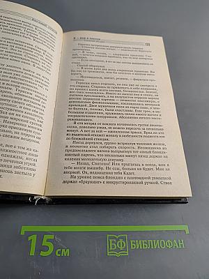 Я-вор в законе. Казначей Общака