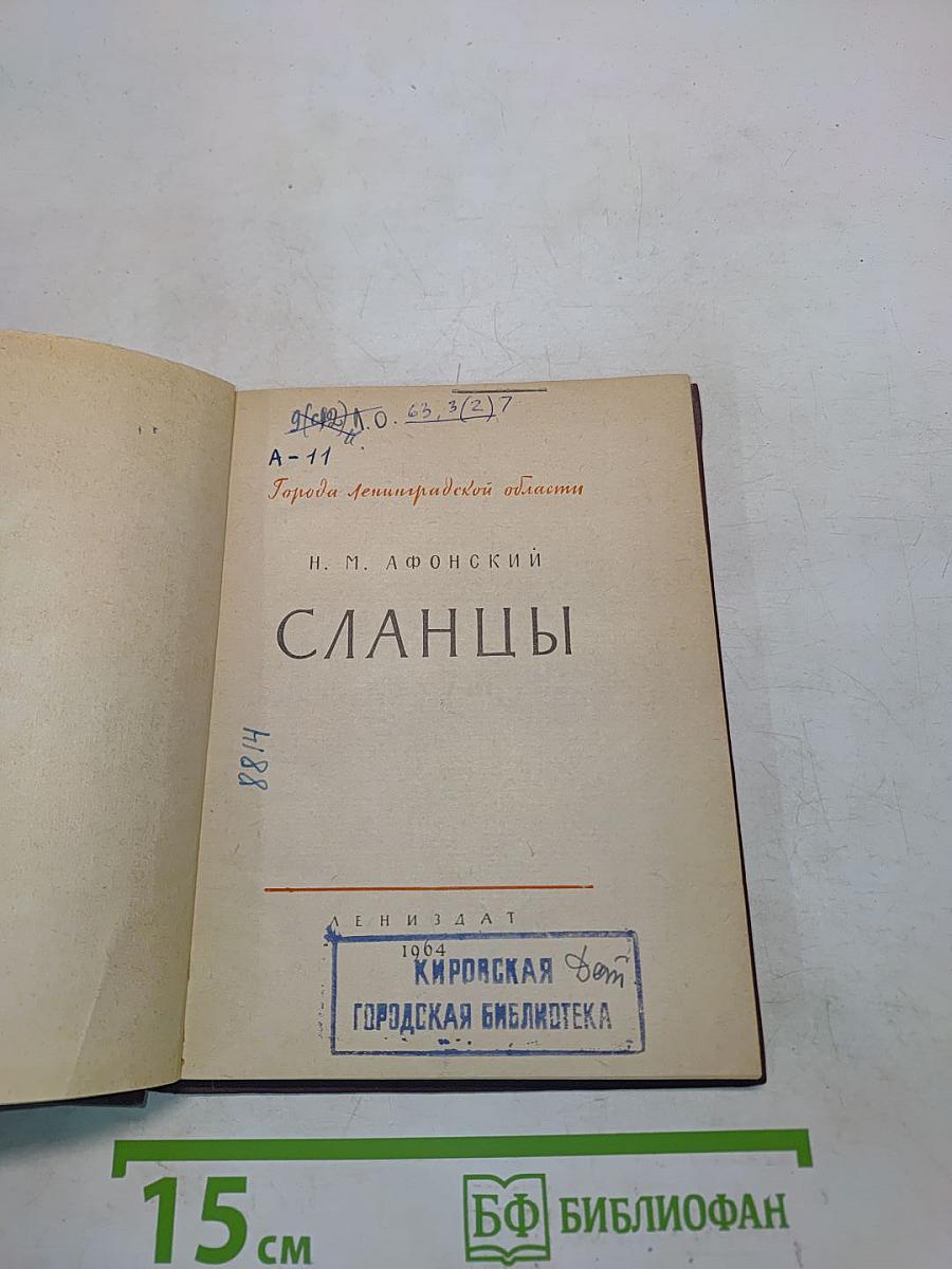 Сланцы
