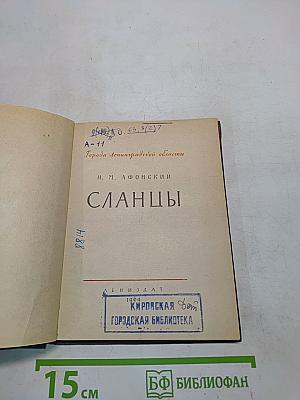 Сланцы