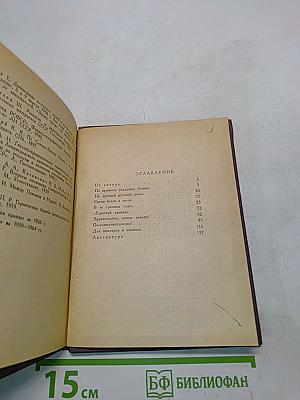 Сланцы