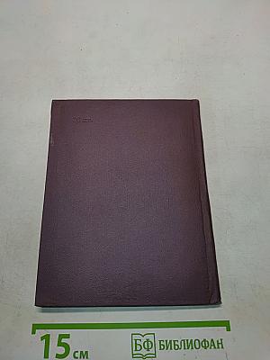 Сланцы