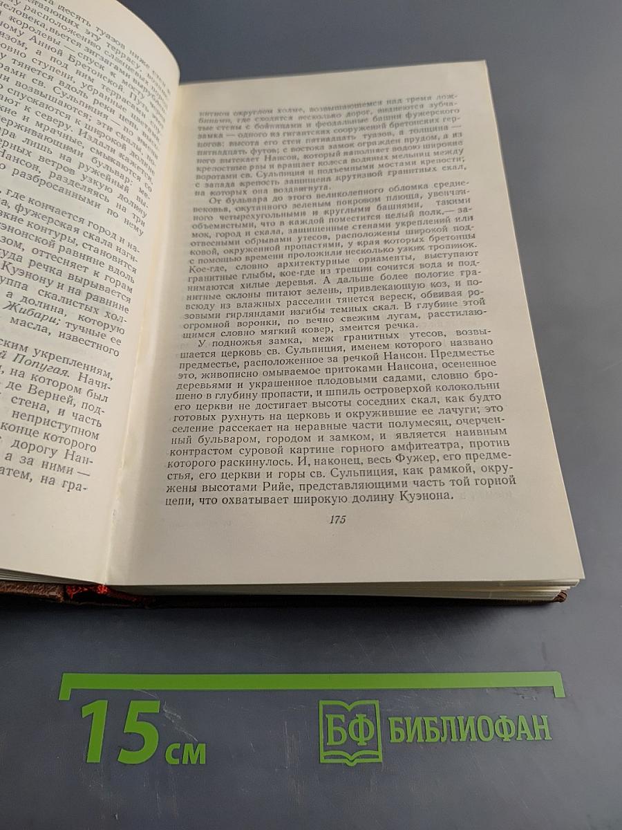 Человеческая комедия. Сцены военной жизни. Сцены политической жизни. Том 11