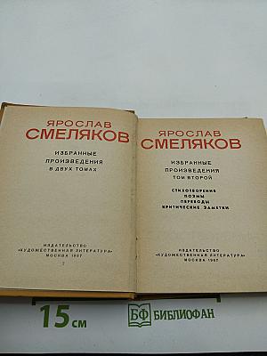 Избранные произведения в двух томах. Том второй: Стихотворения, поэмы, переводы, критические заметки