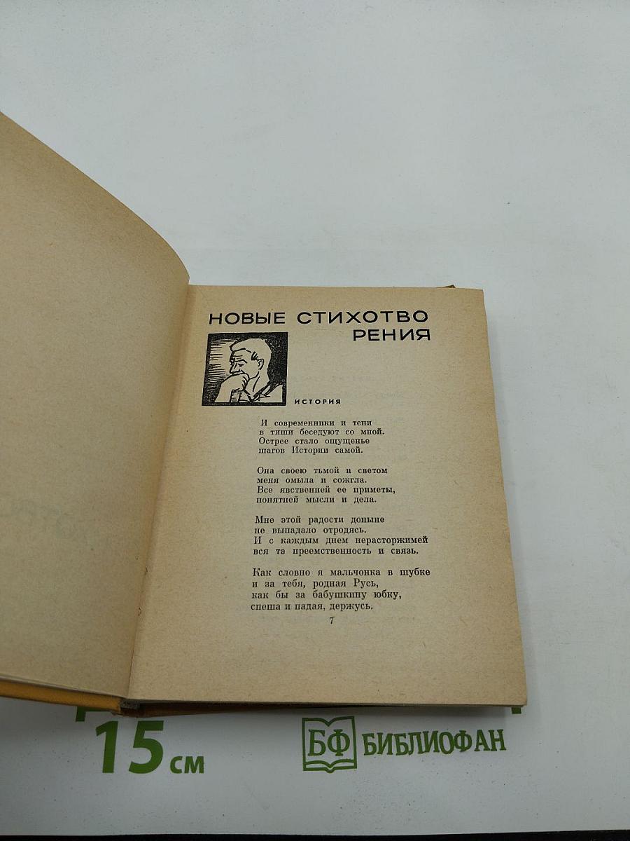 Избранные произведения в двух томах. Том второй: Стихотворения, поэмы, переводы, критические заметки