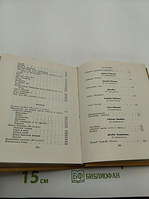 Избранные произведения в двух томах. Том второй: Стихотворения, поэмы, переводы, критические заметки