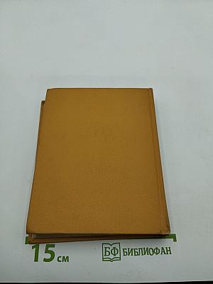 Избранные произведения в двух томах. Том второй: Стихотворения, поэмы, переводы, критические заметки