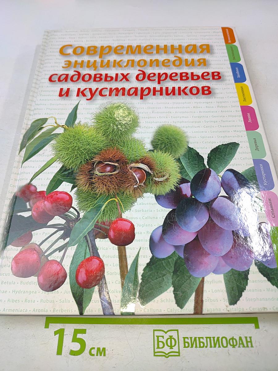 Современная энциклопедия садовых деревьев и кустарников