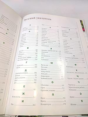 Современная энциклопедия садовых деревьев и кустарников
