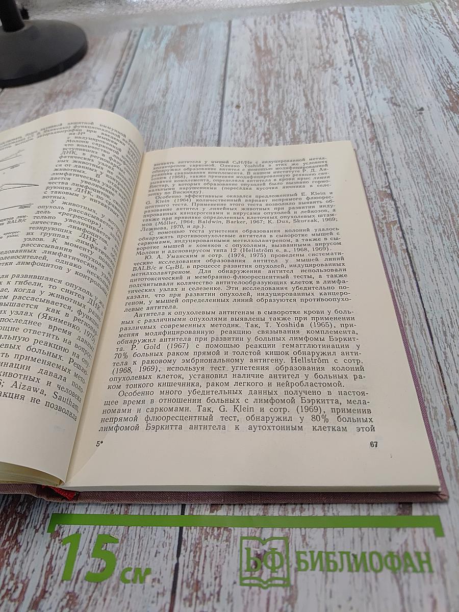 Взаимодействие организма и опухоли