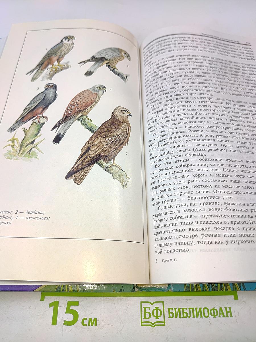 Книга охотника, или Популярное охотоведение