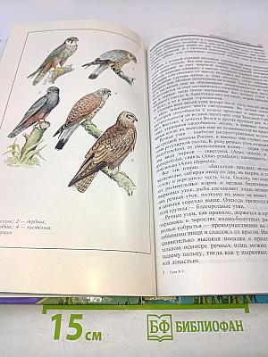 Книга охотника, или Популярное охотоведение