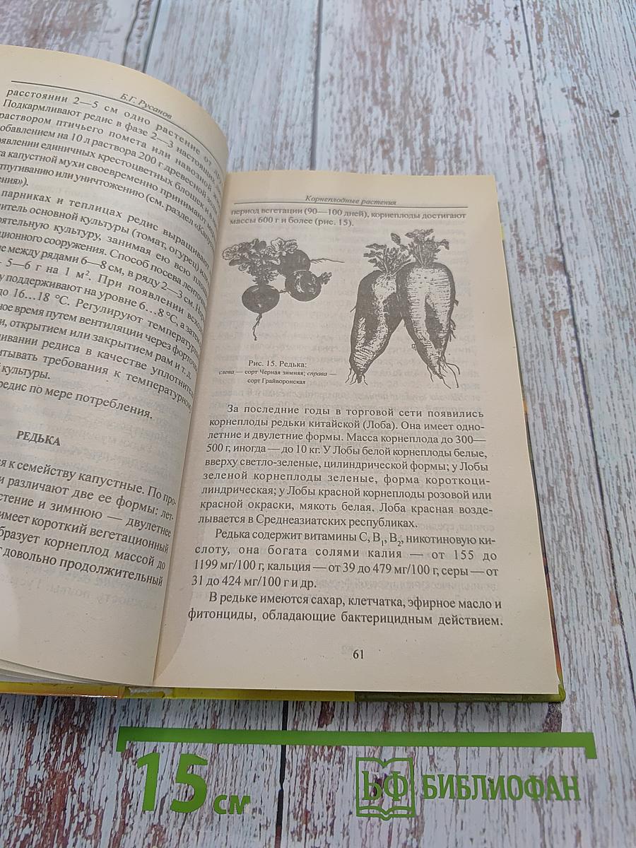 Огород-кормилец