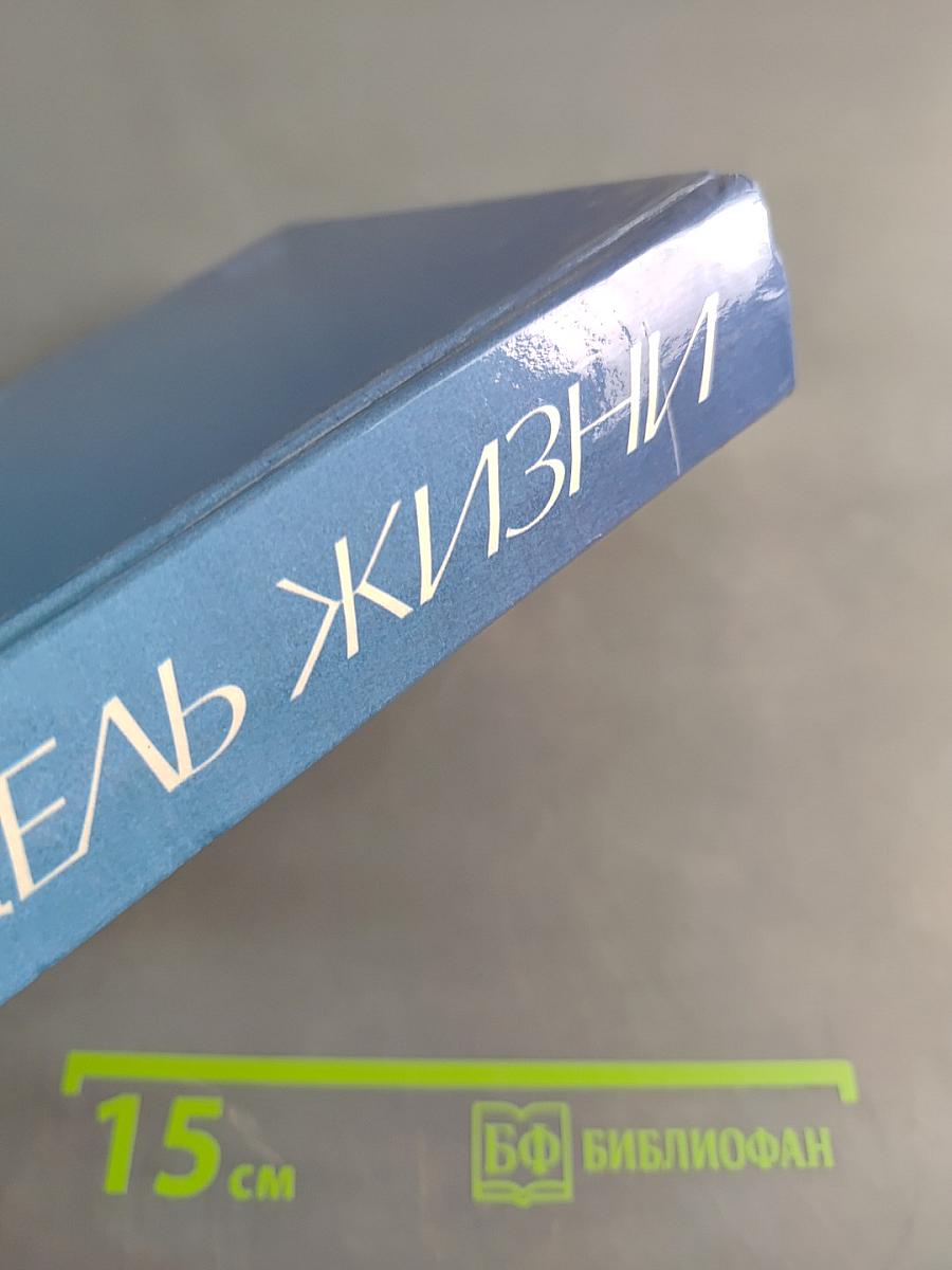 Цель жизни. Записки авиаконструктора