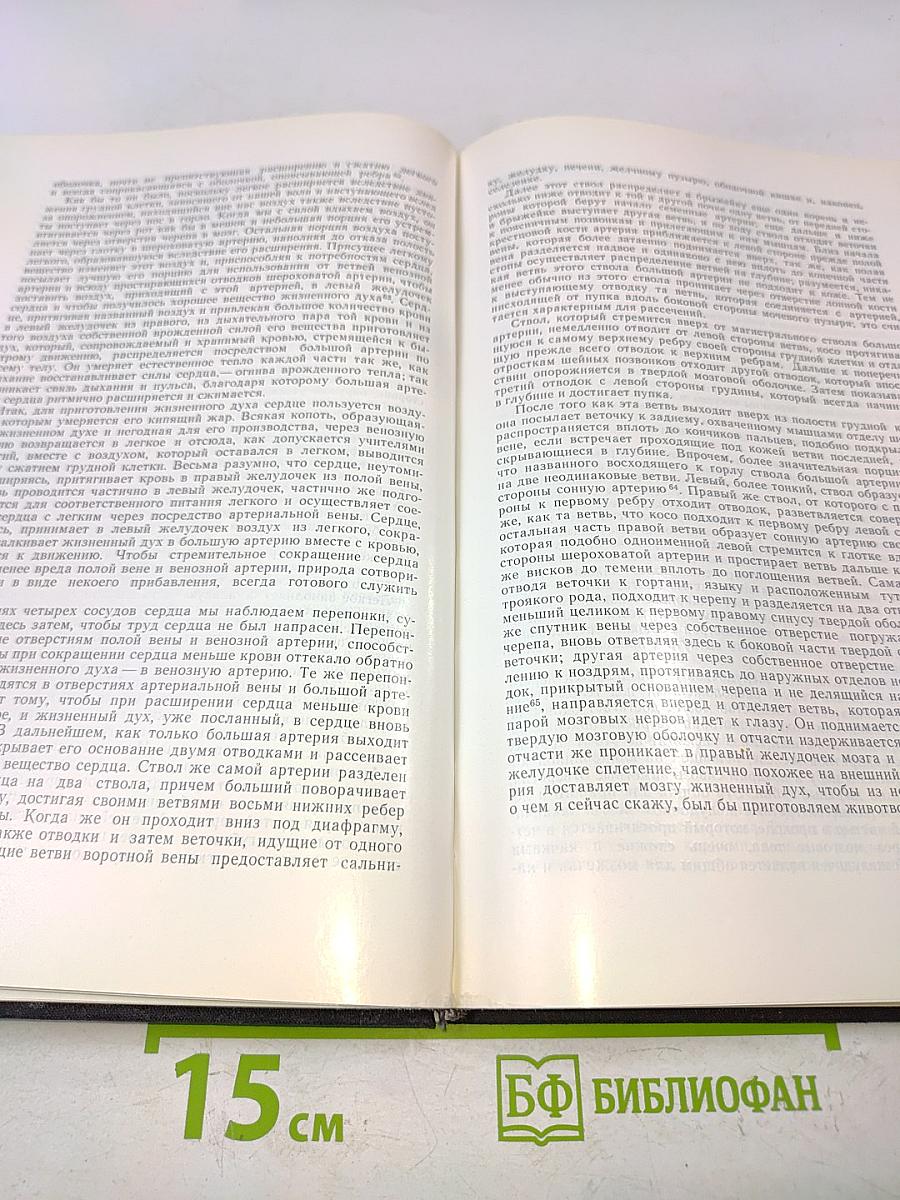 Эпитоме. Извлечение из своих книг о строении человеческого тела
