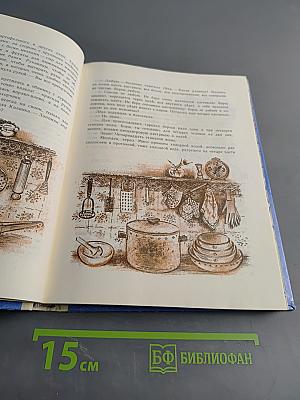 Академия домашних волшебников, или История о том, как научиться волшебству в три дня
