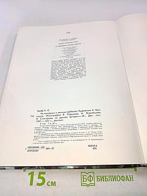 На звездных и земных орбитах