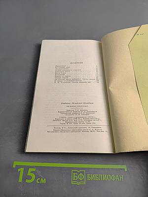 Великим северным (Поход "Сибирякова")