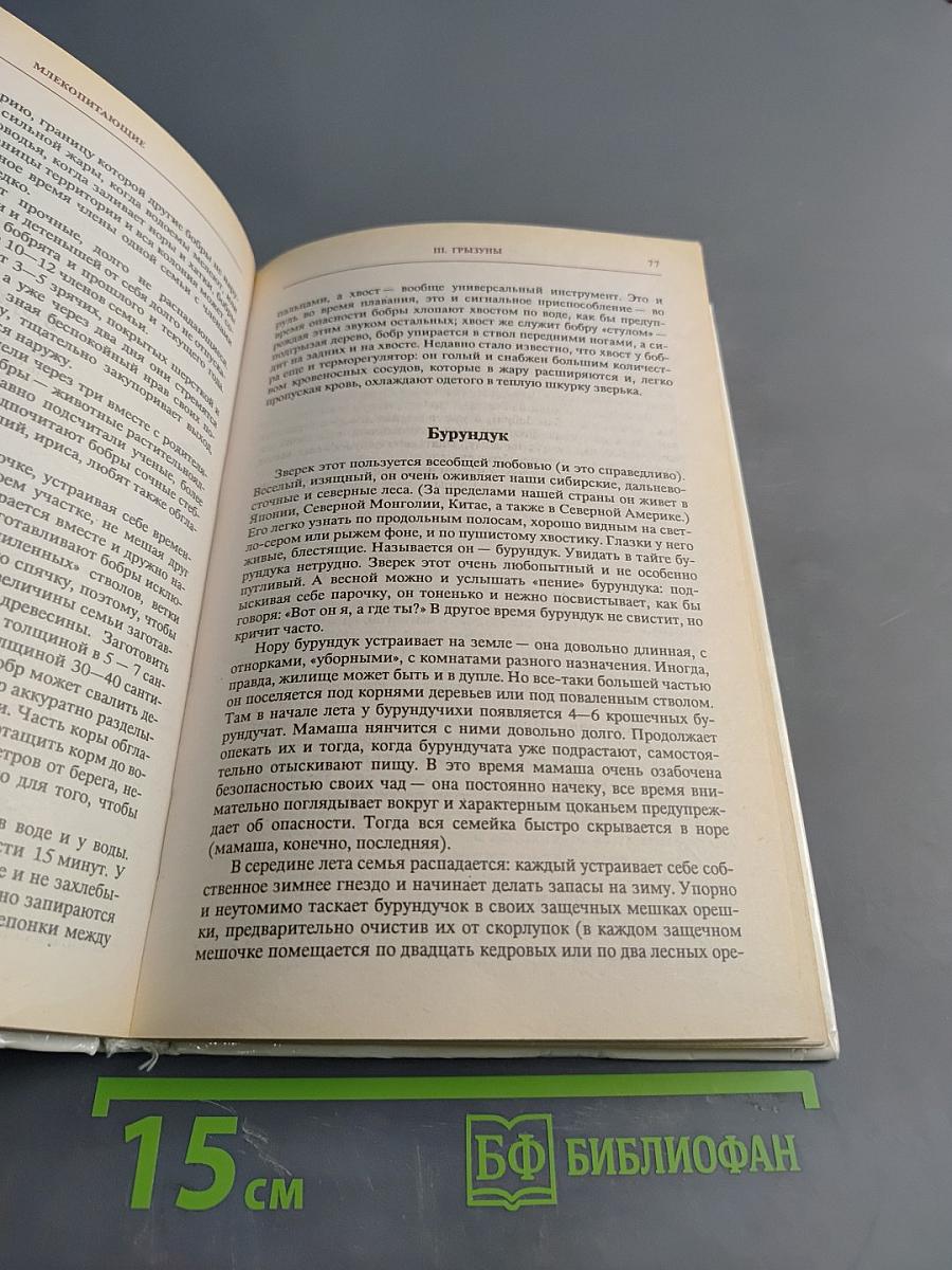 Моя первая книга о животных
