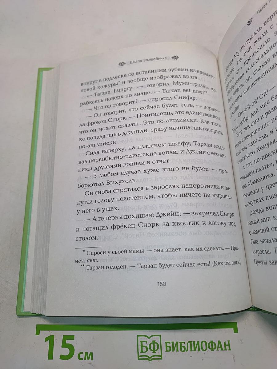 Шляпа волшебника